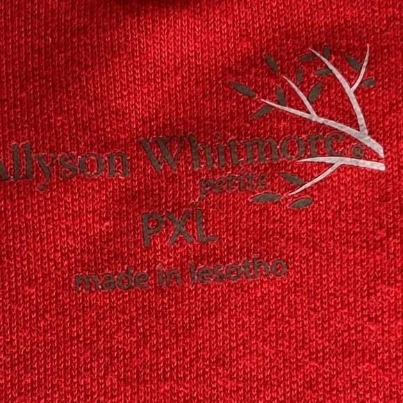 Allyson Whitmore, petite top, sparkle accents, PXL - Picture 5 of 5